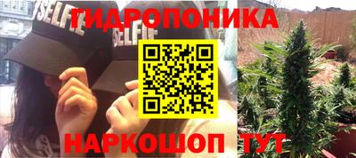 Альфа ПВП Будённовск