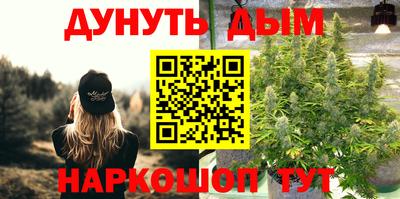 стаф Бузулук