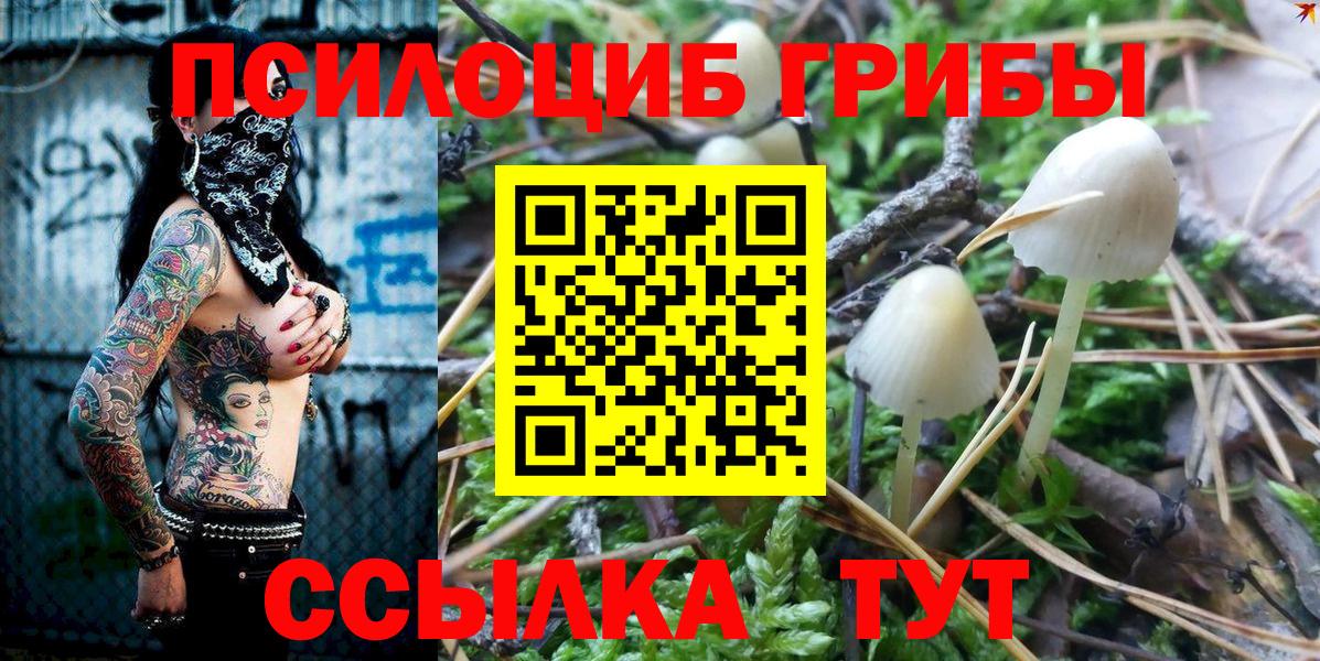 Морозовск  Псилоцибиновые грибы Magic Shrooms  Галлюциногенные грибы GOLDEN TEACHER  Вход с VPN 